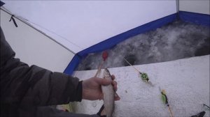 Рыбалка на Енисее зимой