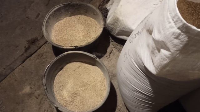 кормление коров в зимний период! дойка коров ? смотреть онлайн