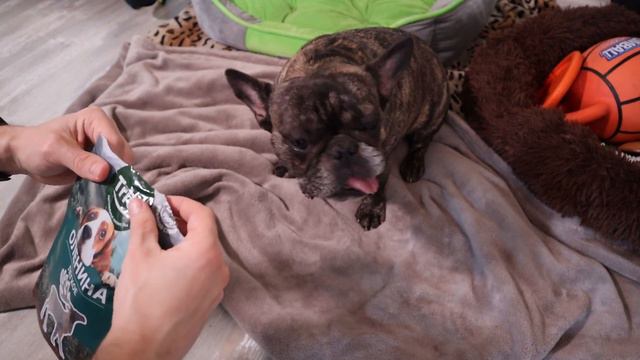 Марс Дегустатор. Какая из 3-ёх вкусняшек понравится больше всего смотреть онлайн