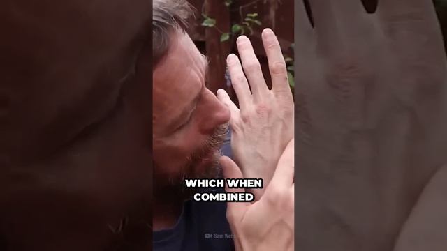 Uncovering the Most Painful Places to Get Tattooed! #tattoo #shorts #painful #viral смотреть онлайн