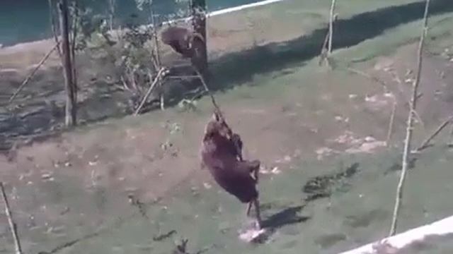 Пусть мама услышит...Пусть мама придет!