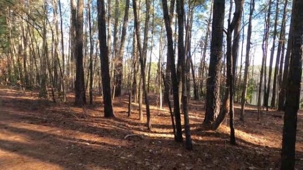 Camera testing Sony DSC H1 Test