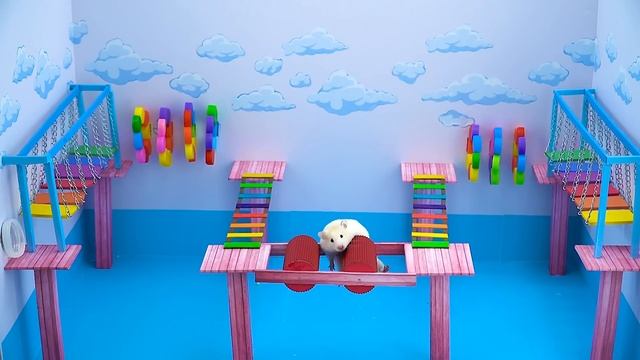 Hamster Escaped From The Spiderweb Maze | Color Obstacle Challenge | Hamster Life смотреть онлайн