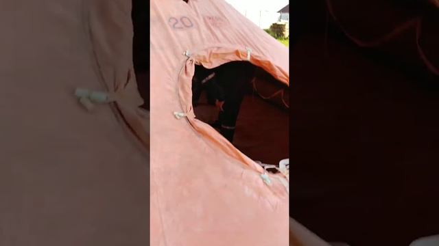 Обзор на ПСН 20