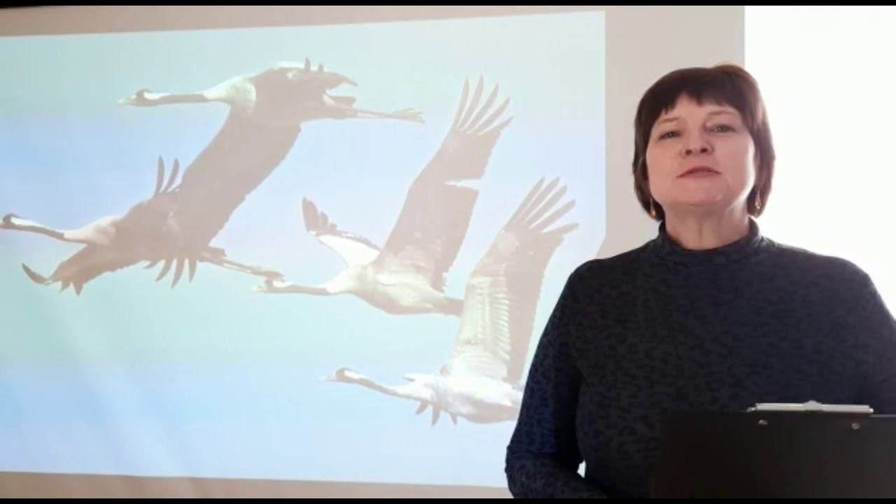 Расул Гамзатов «Вновь журавли улетают на юг». Читает Сычёва Марина смотреть онлайн