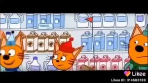 Ты дурак что ли?!