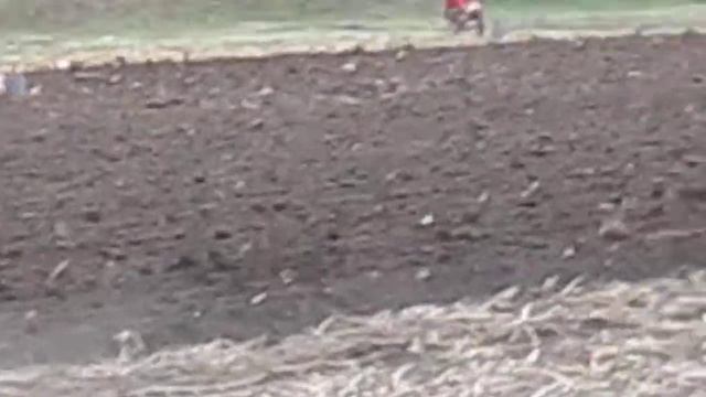 посадка картофеля смотреть онлайн