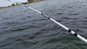 троллинг спиннинг  крокодил 2.4 или 2.1?