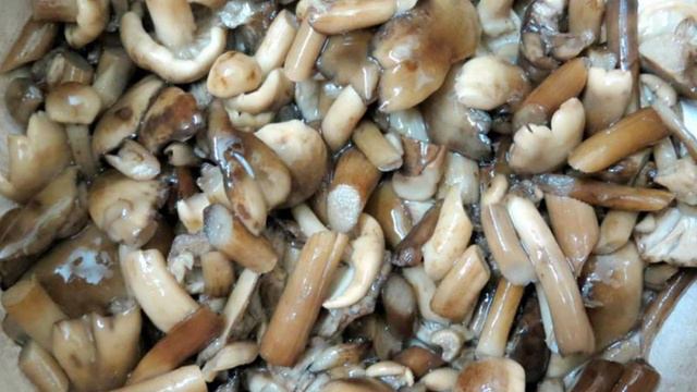 1000 и 1 рецепт