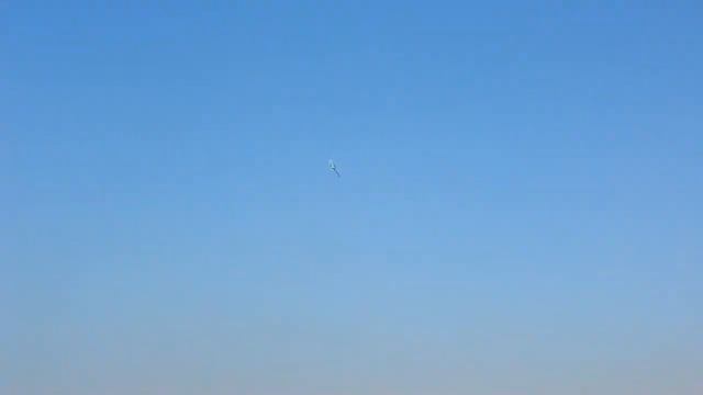 T Rex 550 helicopter flights Novosibirsk 1 смотреть онлайн