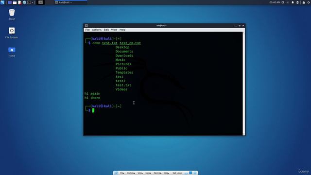 2.12. Kali Linux CLI - Comparing Files смотреть онлайн