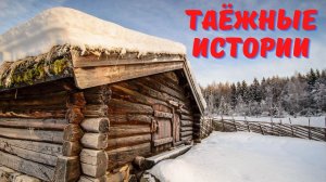 Медведь - сирота выпил всю бражку и уснул | таёжные рассказы | случай в тайге | таёжные истории