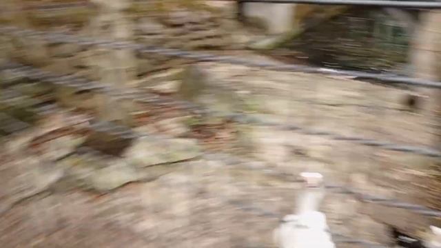 приехали в Ялту на отдых, пошли гулять в зоопарк!Часть 2 смотреть онлайн