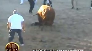 Бык убил у всех на глазах