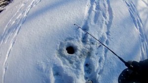 Как ловить щуку на раттлины со льда?