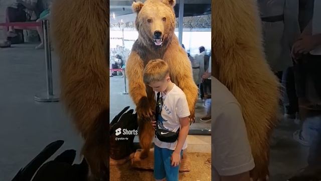 Устин с медведем. #shorts смотреть онлайн