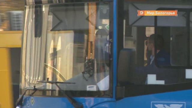 Рейды в общественном транспорте Белгорода смотреть онлайн