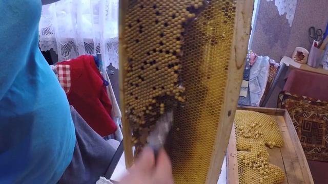 Трутнёвый ГОМОГЕНАТ, это нужно знать!!!