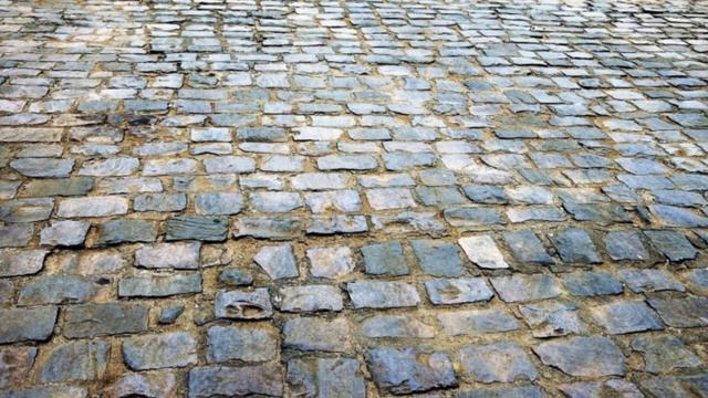 Васька Денисов похититель свиней Варлам Шаламов