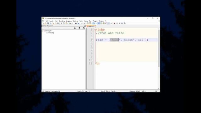Step by Step Learn PHP for Beginners [Data types] ( Part - 2) смотреть онлайн