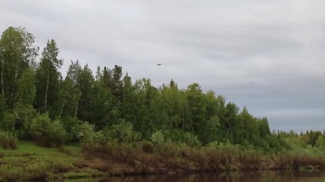 РЫБАЛКА и ОХОТА на реке БАИХА! Дикие места в Туруханском районе Красноярского края! смотреть онлайн