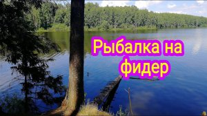 Рыбалка на фидер