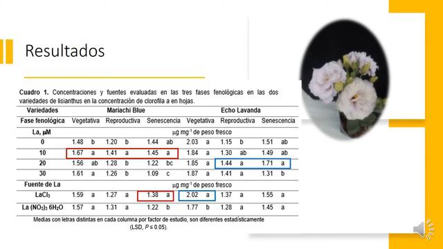 S3 BCA24 Clorofilas Lisianthus La смотреть онлайн