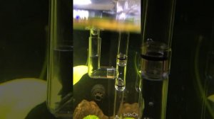 Фильтр навесной "рюкзачок "