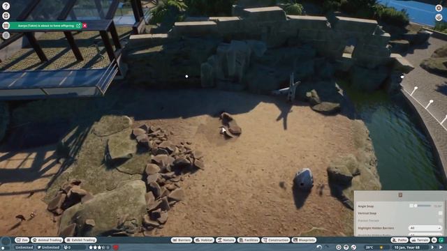 🐒 Lar gibbon and Siamang tropical habitat | Quaco Zoo | Planet Zoo | speedbuild 🌻 смотреть онлайн