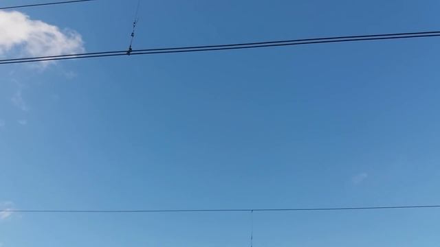 БЕШЕНЫЕ ВОЛКИ. смотреть онлайн