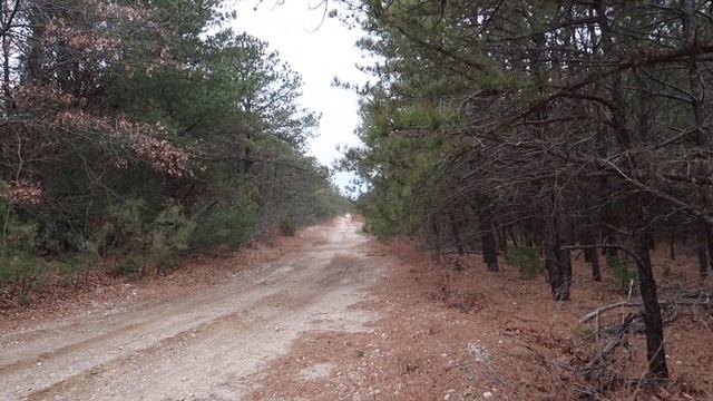 The best Yamaha Banshee sound on YouTube смотреть онлайн