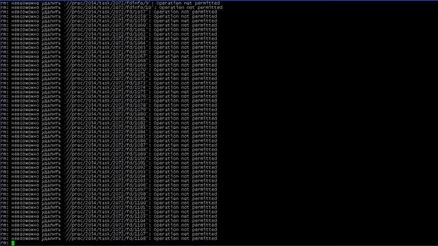 # rm -rf / (root, production CentOS 5.1 instance) смотреть онлайн