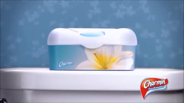 Youtube Poop: Old Spice MOTHERLOAD