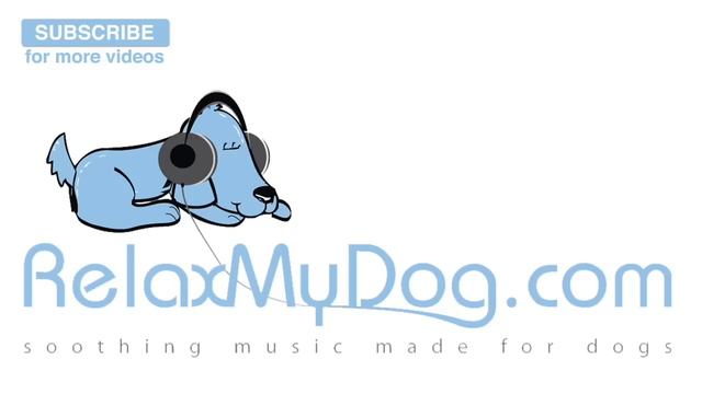 Music for Dogs and Puppies. Help your Anxious Dog to Sleep and Calm Down. Cure Dog Anxiety! смотреть онлайн