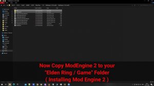 Elden Ring Seamless Coop with Mods for Non-Steam Version Tutorial