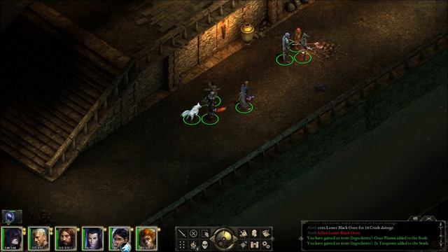 Let's Quest - Pillars of Eternity - Part 62 - Meeting Helig смотреть онлайн