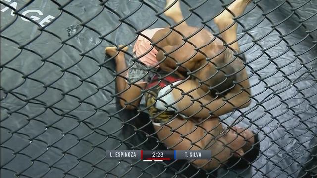 MMA - Thiago Rasta Silva Vs Luis Mono Guerrero - Full Fight - UCCLATAM - Free - UCC53 смотреть онлайн