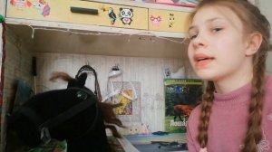 ?обзор на хорсов/факты о хорсах /хоббихорсинг ?