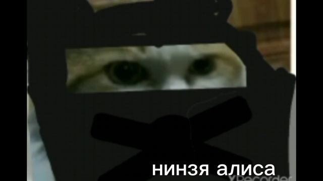 какой бывает Алиса смотреть онлайн