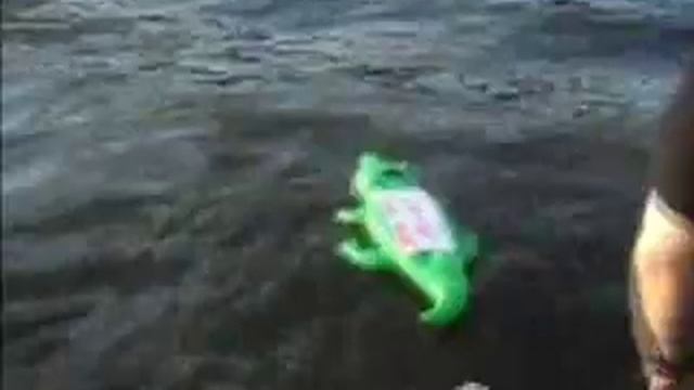 Марш несогласных крокодилов смотреть онлайн