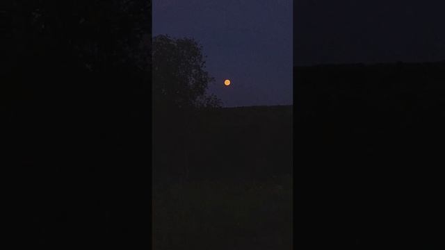 Клубничная Луна в Карелии смотреть онлайн