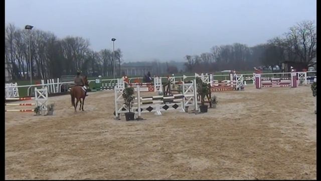 Heiniger-Pferde.com, Contendro I x Carolus Holst, Wall, 2008 смотреть онлайн