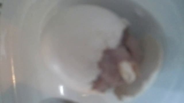 Вылупление жако