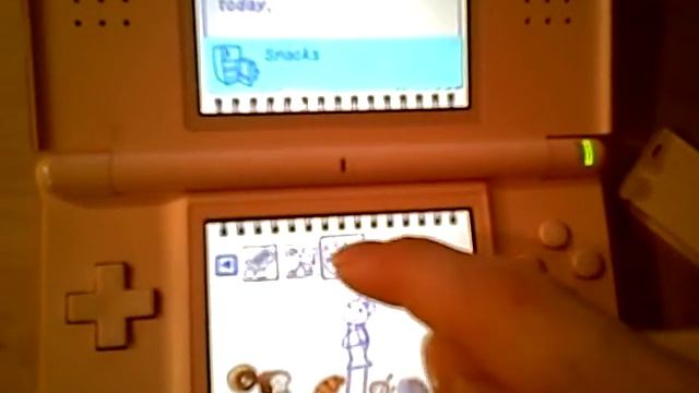 DS My Weight Loss Coach