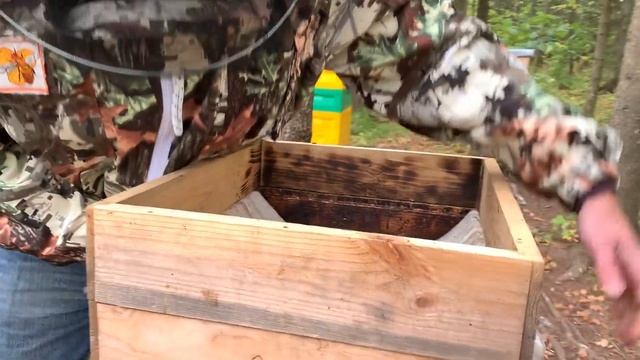 Делаем пометки, контроль маток смотреть онлайн