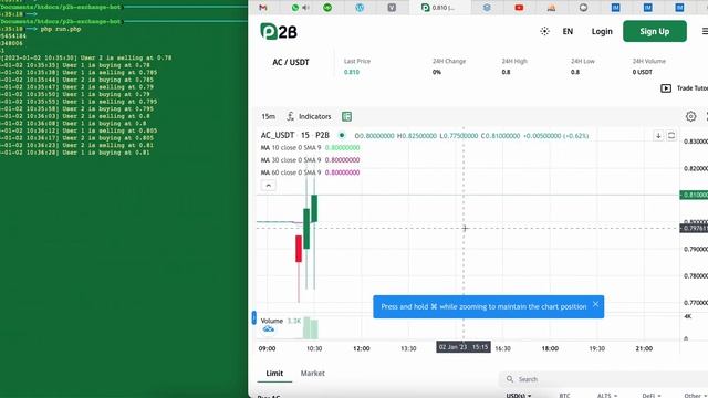 Simple Trading Bot made in PHP смотреть онлайн