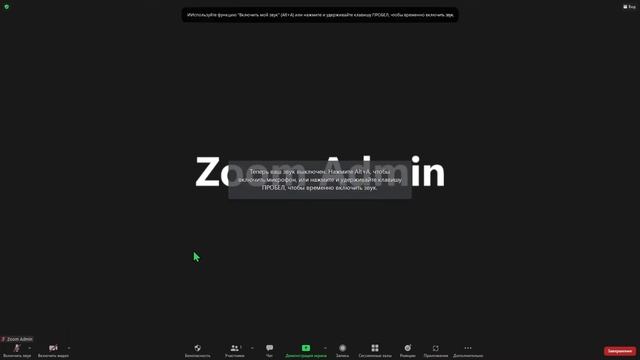 Типичные проблемы при демонстрации экрана в ZOOM смотреть онлайн