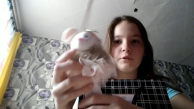 Подарки на день рождения!!! Исполнилось 12 лет! 08.11.19 Спасибо большое за этот день!!!! смотреть онлайн