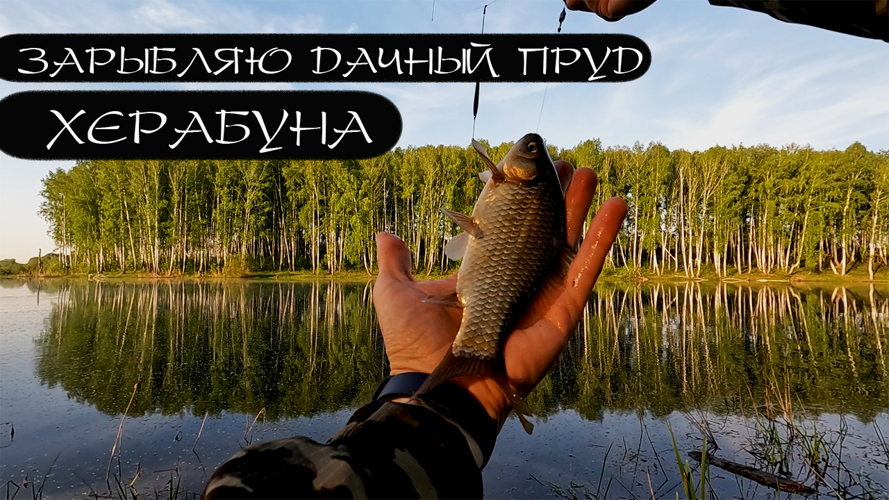 Июнь. Поплавок. Любовь под водой. смотреть онлайн