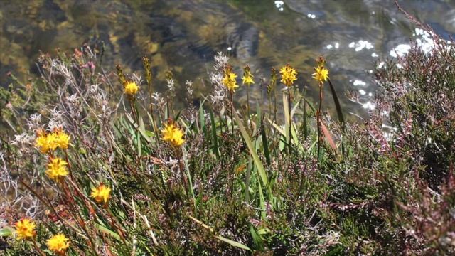 Колодец для исполнения желаний смотреть онлайн